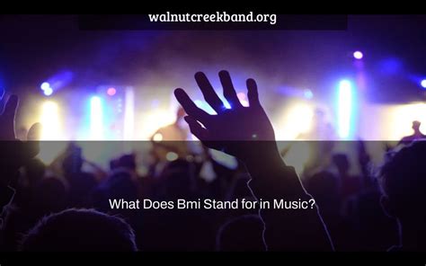 What Does BMI Music Stand For: A Diverse and Comprehensive Exploration